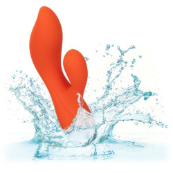 Calexotics - Stella Dual Teaser Orange